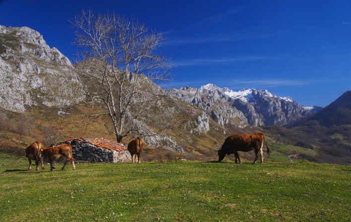 Parque Nacional de Los Picos de Europa