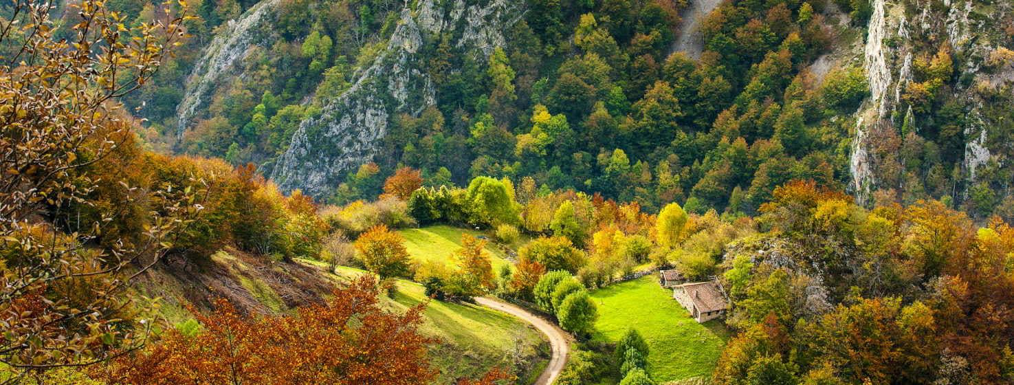 Uma explosão de cores inunda a imagem do Parque Natural de Redes. Um vale visto de cima, com uma floresta de diferentes verdes, ocres, laranjas, amarelos... descendo as montanhas.  Ao fundo vêem-se alguns prados verdes claros com cabanas de pedra. No meio do vale há um caminho com árvores de ambos os lados.