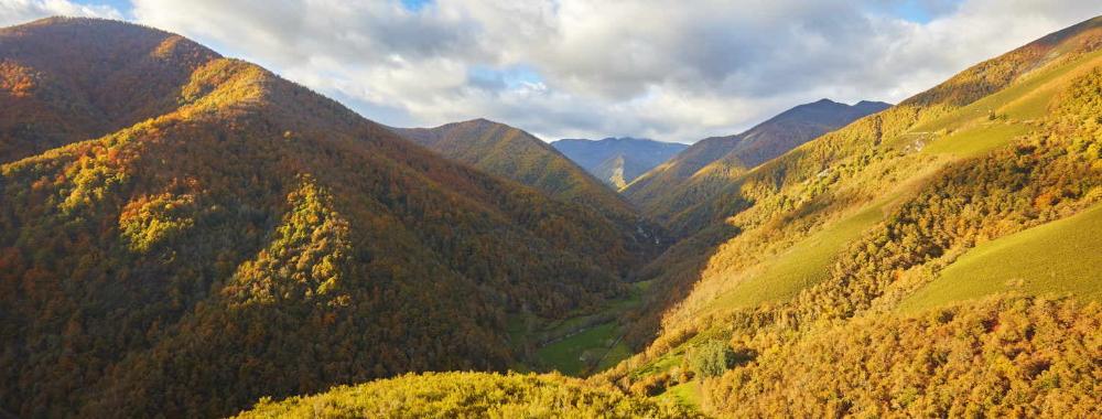 Imagen Fuentes del Narcea, Degaña and Ibias Natural Park