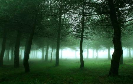 Floresta de Taramundi