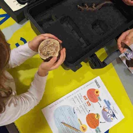 Programación de septiembre en el Museo del Jurásico de Asturias en Colunga