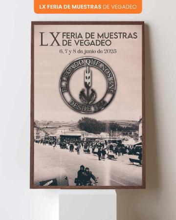 feria-vegadeo
