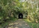 Tunnel surrounded by vegetation on the Senda Verde de Lloreo, with an open passage for hikers.