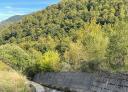 Small water channel in the forest surrounded by vegetation on the Valgrande route.