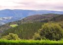 Vista panorámica de bosques autóctonos desde la Ruta de Mon, con montañas al fondo.
