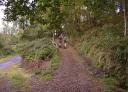 Crossroads on the Senda Verde de San Martín de Oscos, with two hikers.