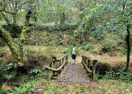 Ruta de A Seimeira