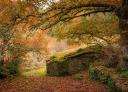 Moss-covered stone house among the autumn leaves in Ancadeira, A Seimeira Route.
