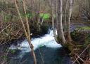 Pequena cascata entre árvores e correntes de rio na Rota do Forcón dos Ríos.