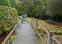 Hikers crossing a wooden bridge in a recreational area on the route through Villanueva de Oscos.