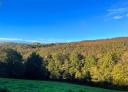 Panoramic view of the forest landscape in Villanueva de Oscos with clear skies.