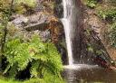 The main waterfall of the Cascada de Méxica falls over a pool between ferns and rocks.
