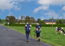 Peregrinos caminando por tramo del Camino de Santiago entre pastos