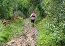 Hiker walking along a wooded section of the path to Monsacro.