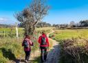 Senderistas caminando por sendero rural del Camino de Santiago