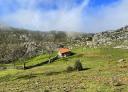 Stone hut in a sheepfold on the Mofrechu hillside