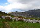 Stone walls between pastures and mountains in eastern Asturias