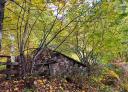 Stone hut covered with vegetation in Tarna forest