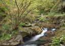 Family walking along a riverside path in autumn woodland