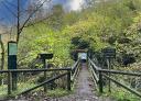 Wooden bridge over the river Alba in dense vegetation