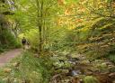 Hikers walking through autumn woodland by the stream
