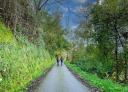 Hikers walking along an asphalted track through vegetation.