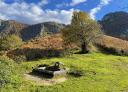 Rural spring under a solitary tree in a mountain landscape