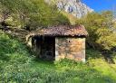 Ruins of traditional Asturian hut in wooded area