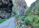 Hikers walking along the Senda del Oso by the river Teverga
