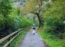 Hiker walking along a path with dense vegetation and a wooden fence.