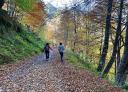 Hikers on a mountain path surrounded by autumn greenery