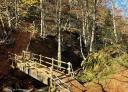 Wooden bridge over La Verde river surrounded by autumn forest
