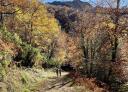 Hikers walking through forest with rocky mountains in the background