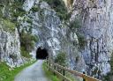 Tunnel in the rock on the Senda del Oso between Caranga and Bárzana