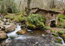 Moulin traditionnel au bord d'un ruisseau dans une forêt verdoyante