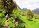 Randonneur descendant dans un pré entre des arbres et des moulins à vent