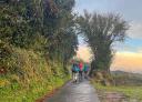 Group of hikers walking up the asphalt road through the trees.