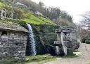 Traditional mill in Os Teixois overgrown with vegetation and moss