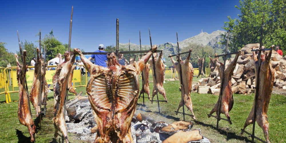 Primer plano de corderos asándose en la Fiesta del Cordero en Lena, sujetos con hierros en forma de cruz clavados en el suelo; al fondo se distinguen personas y, a la derecha, una pila de leña.