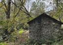 Stone house in the middle of the forest surrounded by greenery