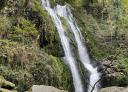 Waterfall surrounded by vegetation
