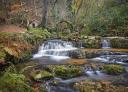 Cascading waterfalls and lush vegetation with mill in the background