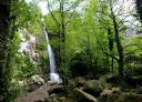 View of the waterfall surrounded by rocks and vegetation.