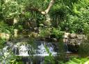 View of the river with a waterfall and abundant vegetation.