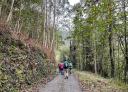 Group of hikers walking along an asphalt path surrounded by trees.