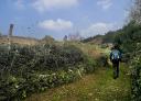 Persona caminando por un sendero cubierto de hierba con vegetación y cielo azul
