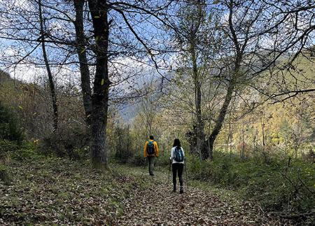 Ruta del Bosque de Moal