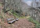Wooden benches on leaf-covered path, with hiker in the background