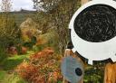 Planisphere amidst autumn vegetation
