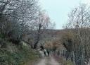 Hikers walking with fence parallel to the trail